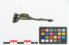 Foto von Bronzepaukenfibel (NHMW-PRAE-025898)